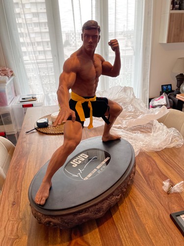 Jcvd blood sport van - jcvd,